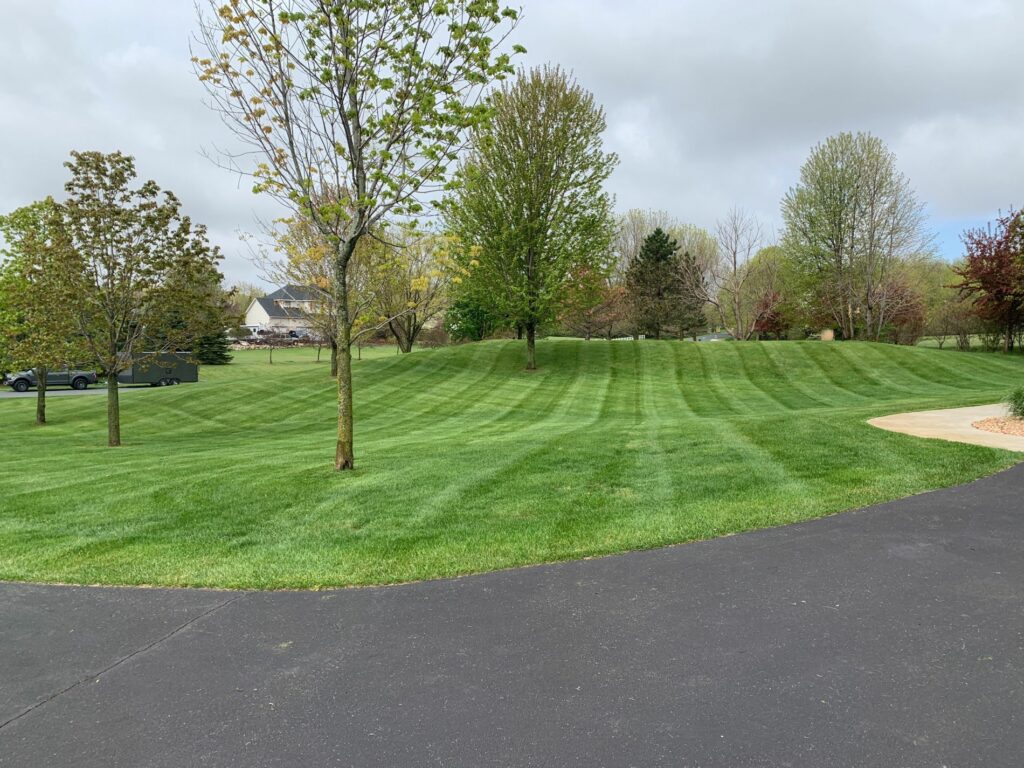 Transform Your Yard with Professional Landscaping Services in Rosemount